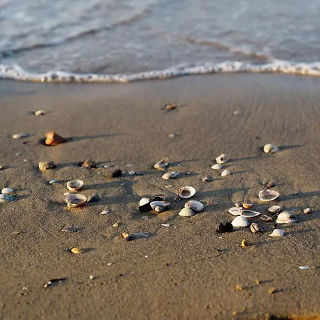 Apartmán Flat With A Relaxing Sunny Terrace