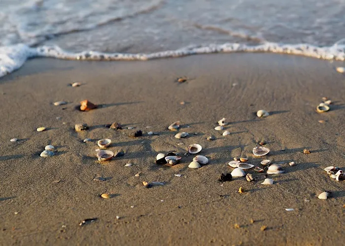 Apartmán Flat With A Relaxing Sunny Terrace